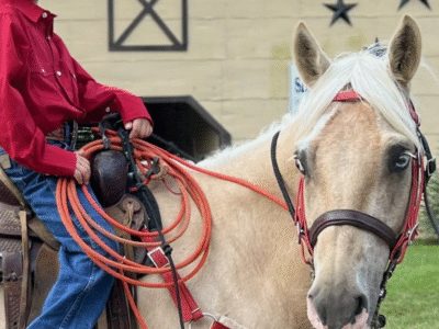 Patton Ranch LLC